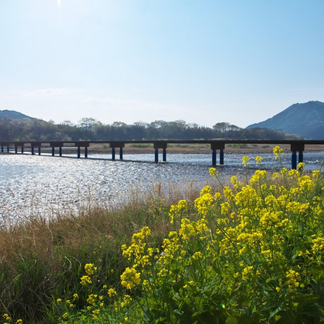 佐田沈下橋