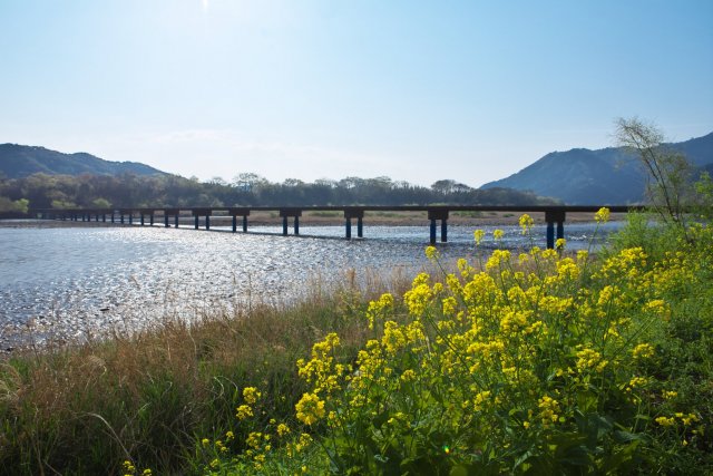 Sada's submerged bridge (Shimanto River)