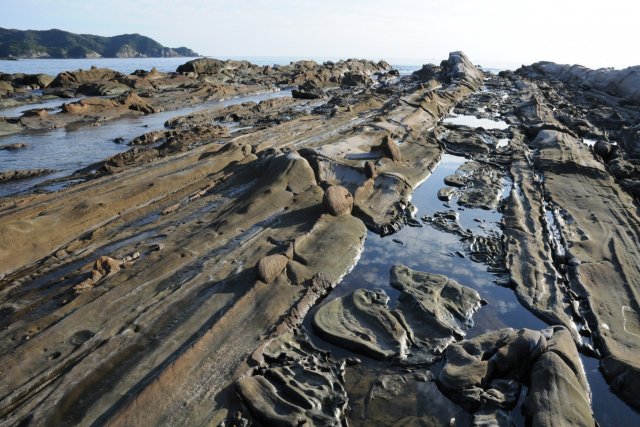 竜串海域公園