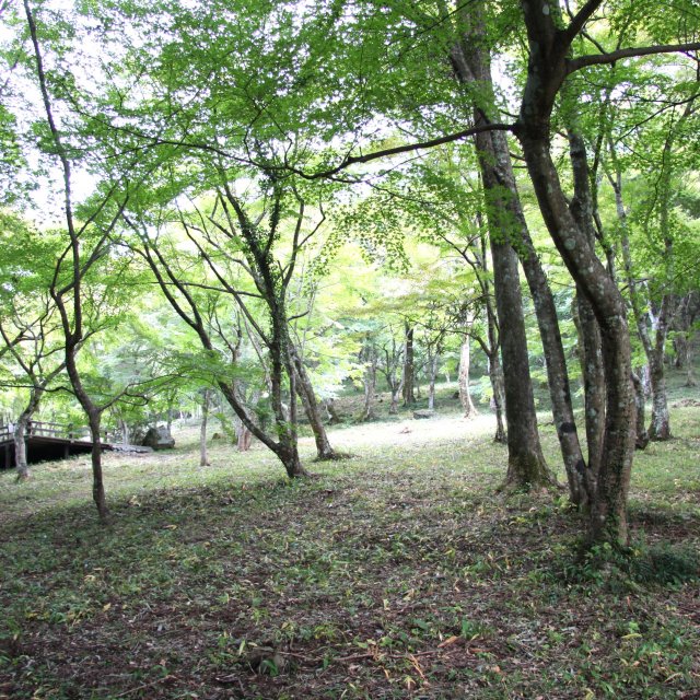 稲荷山公園