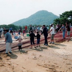津田港観光地曳網