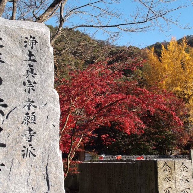 【紅葉スポット】法泉寺