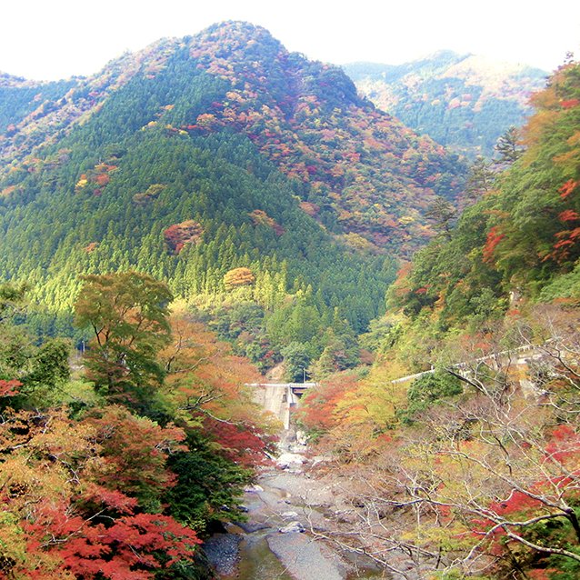 高丸山