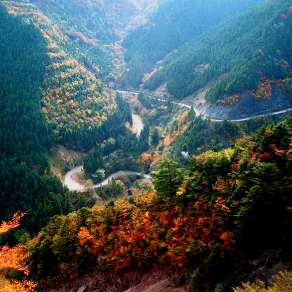 剣山スーパー林道