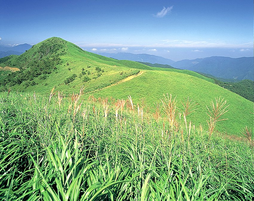 塩塚高原｜スポット・体験｜四国のおすすめ観光・旅行情報！ 【公式】ツーリズム四国