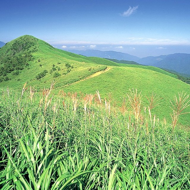 塩塚高原