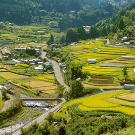 大平・堂平の棚田