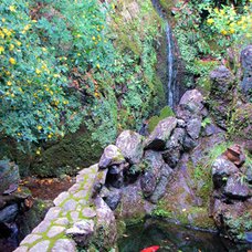 白糸の滝（眉山の滝）