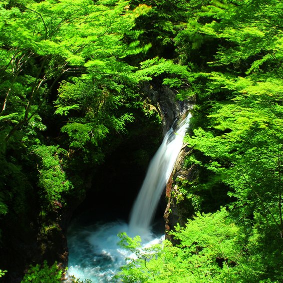 大釜の滝