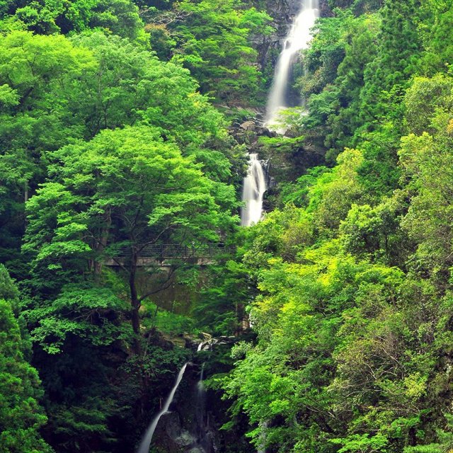 鳴滝（つるぎ町）