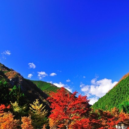 高の瀬峡