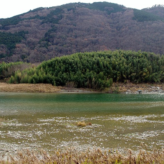 吉野川（中流・四国三郎の郷）