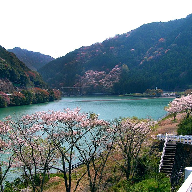 川口ダム