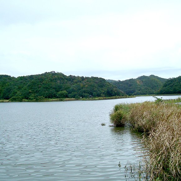 海老ケ池