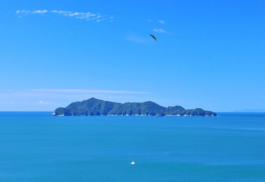 大島！！ 【公式 大島｜スポット・体験｜四国のおすすめ観光・旅行情報！ グローブ