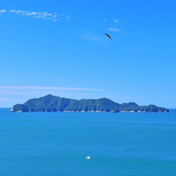 大島
