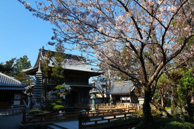 第1番札所 竺和山 一乗院 霊山寺