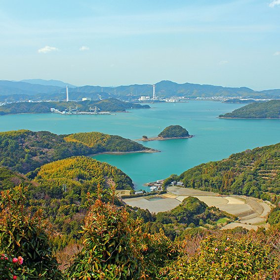 橘湾