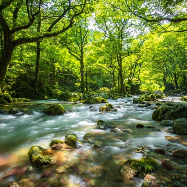 爱媛县内子町 小田深山溪谷