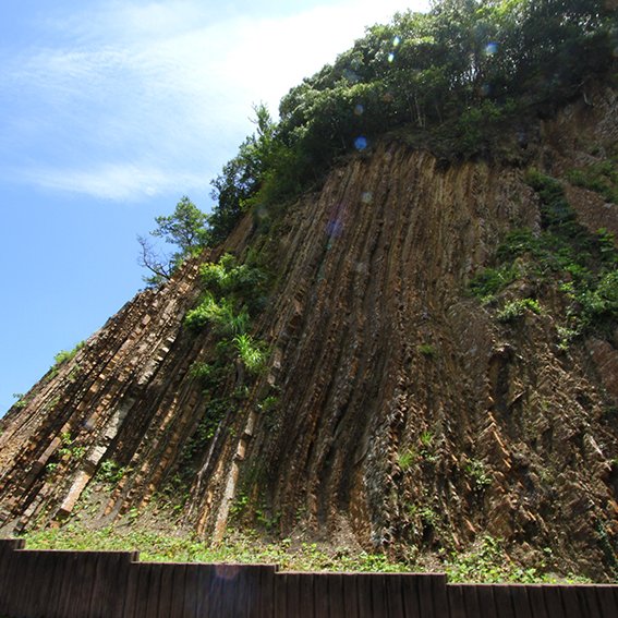 宍喰浦の化石漣痕