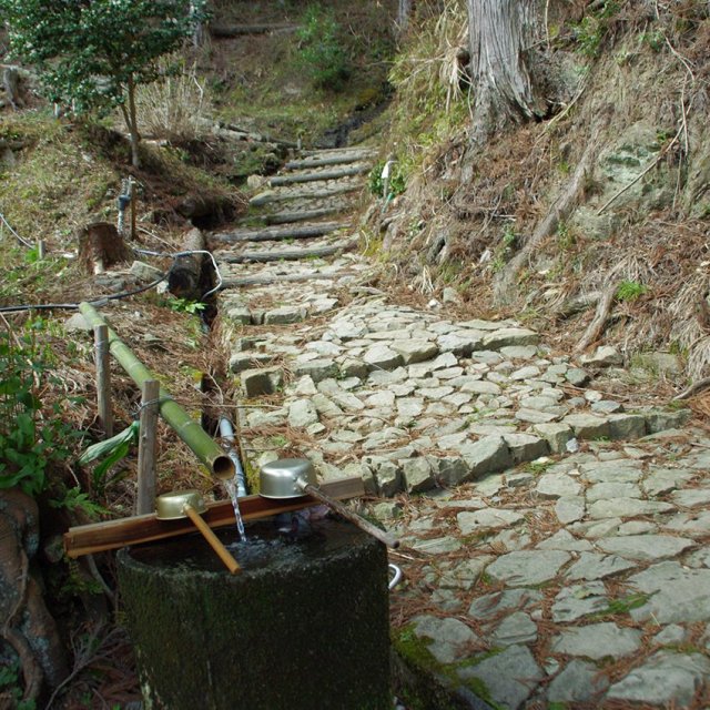 柳の水