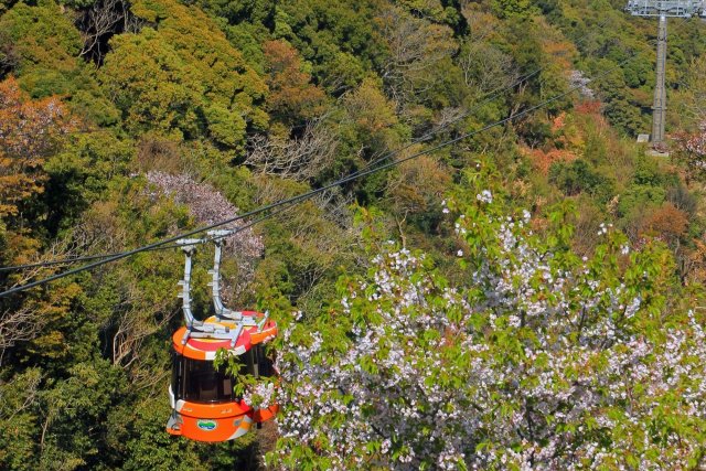 眉山架空索道