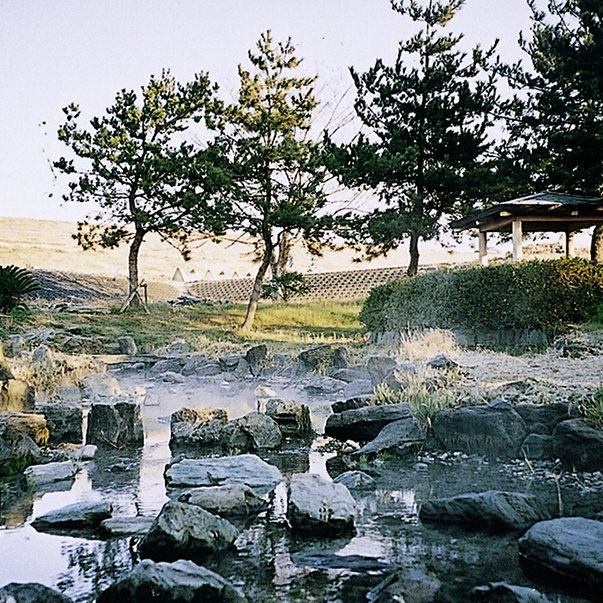 江川の湧水