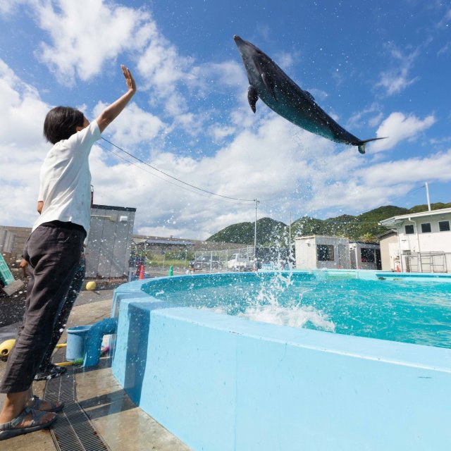 室户海豚中心