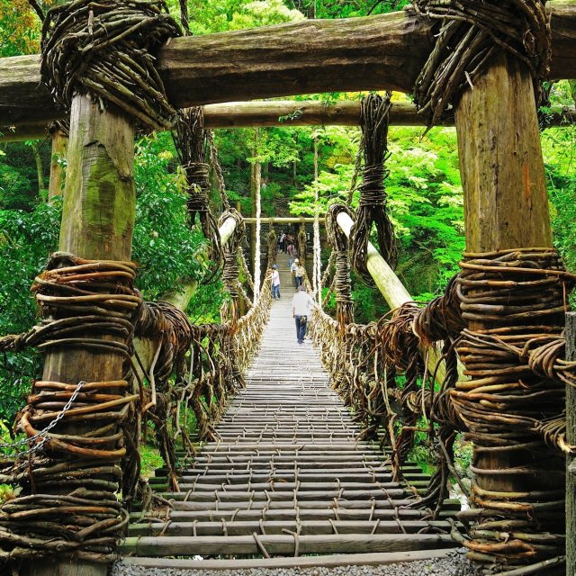 Vine Bridges in the Iya Valley