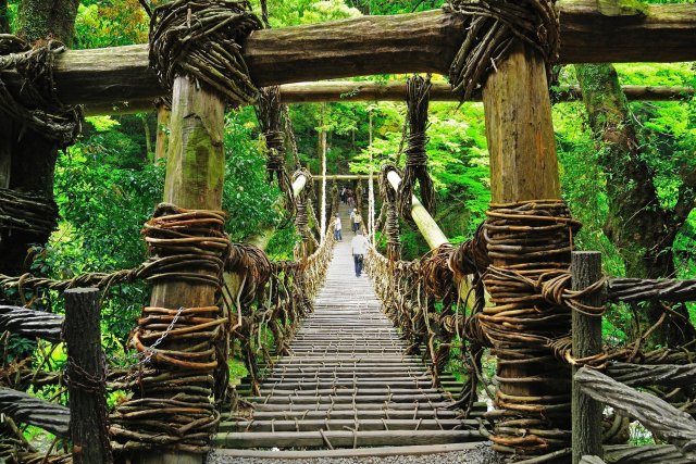 Vine Bridges in the Iya Valley