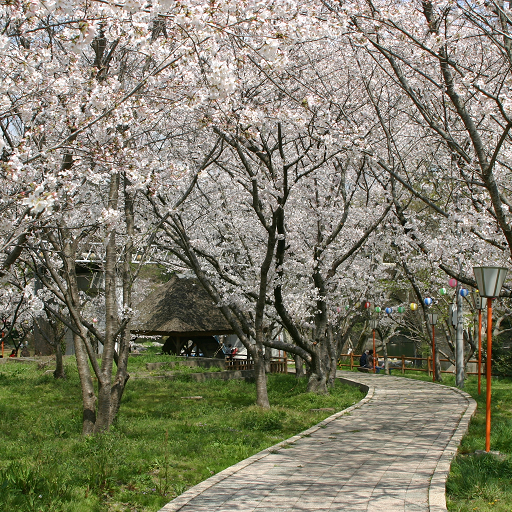 滝宮公園
