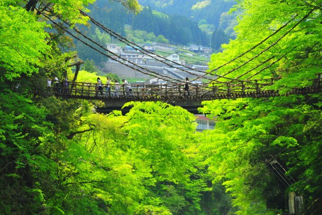 祖谷のかずら橋