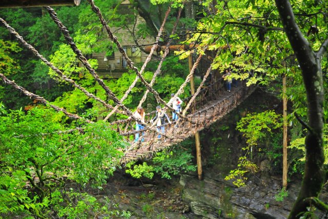 Vine Bridges in the Iya Valley