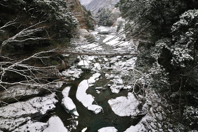 Vine Bridges in the Iya Valley