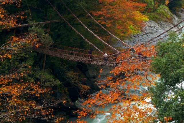 祖谷のかずら橋