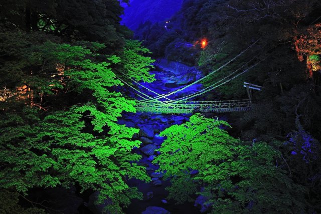 祖谷のかずら橋