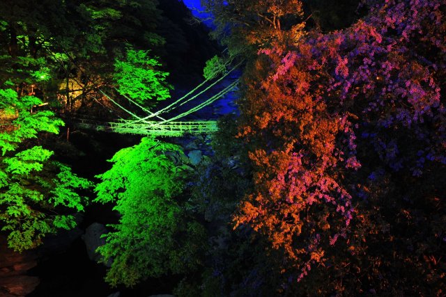 Vine Bridges in the Iya Valley