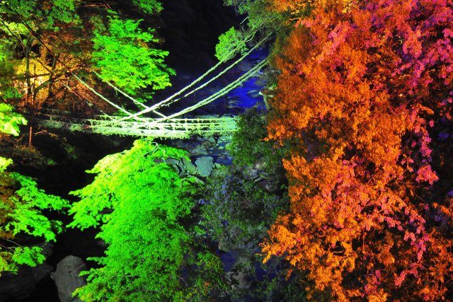 Vine Bridges in the Iya Valley