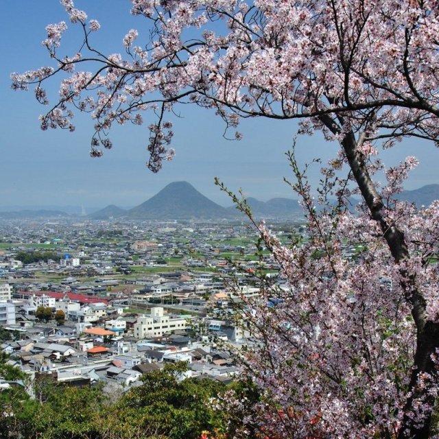 琴平公園