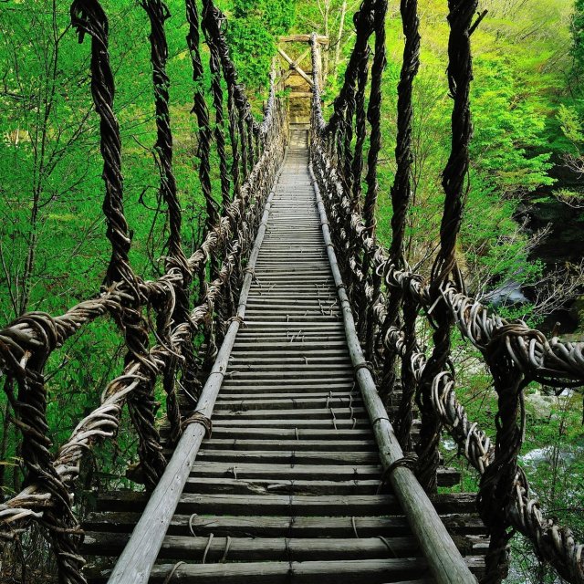 Oku-Iya Double Vine Bridge