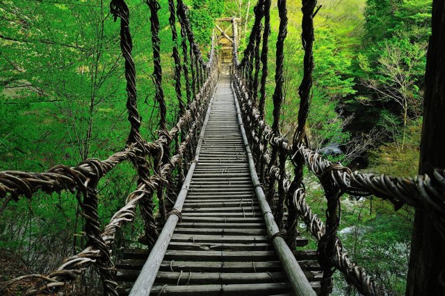 奧祖谷二重葛藤橋