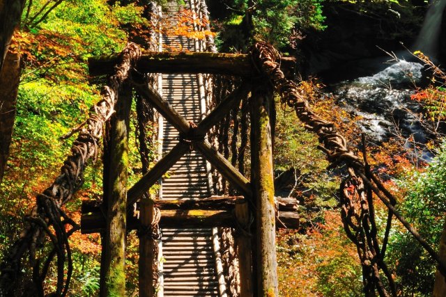 Oku-Iya Double Vine Bridge