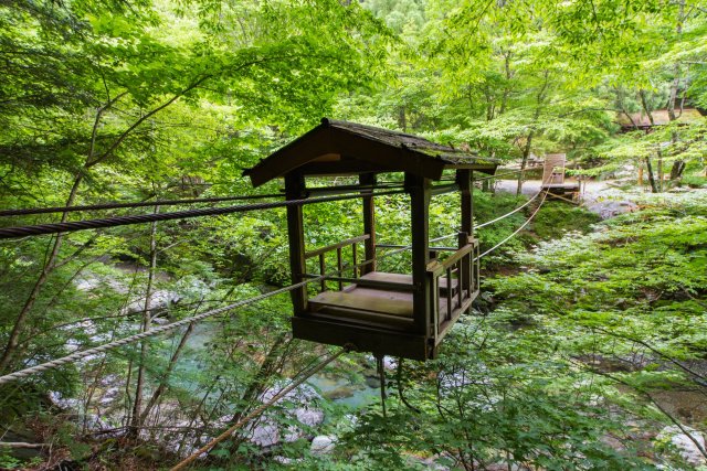 Oku-Iya Double Vine Bridge