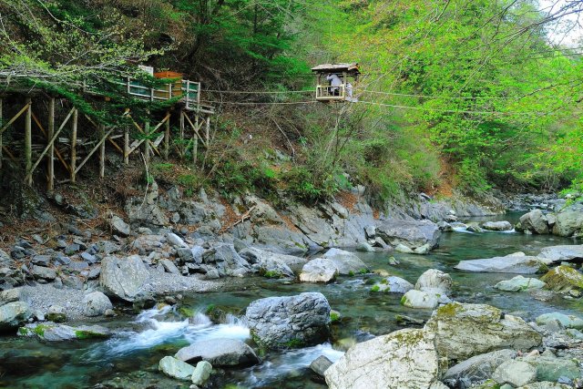 奥祖谷二重かずら橋