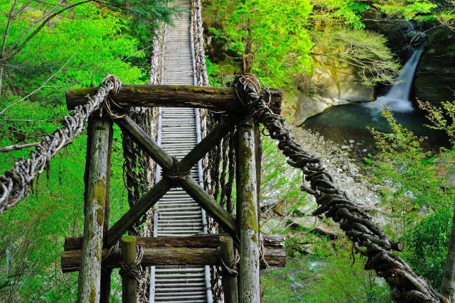 Oku-Iya Double Vine Bridge