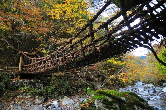 Oku-Iya Double Vine Bridge