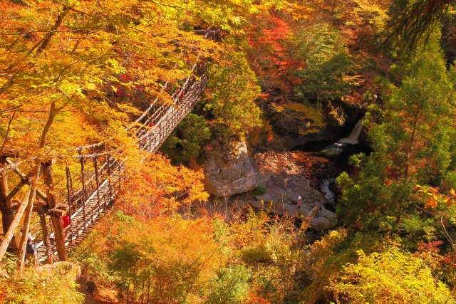 奥祖谷二重かずら橋