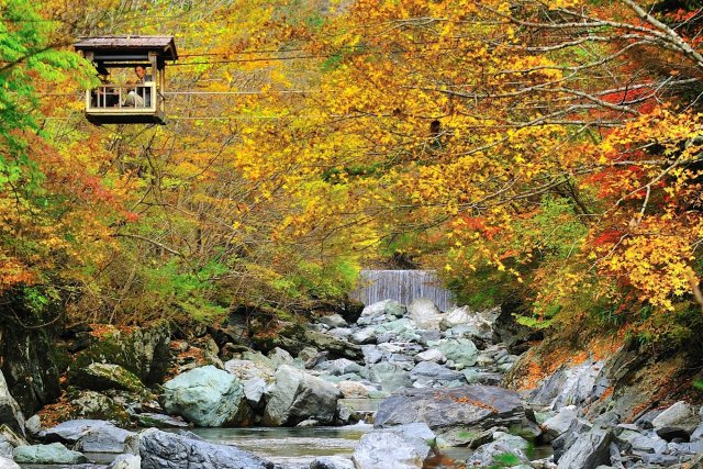 奥祖谷二重かずら橋