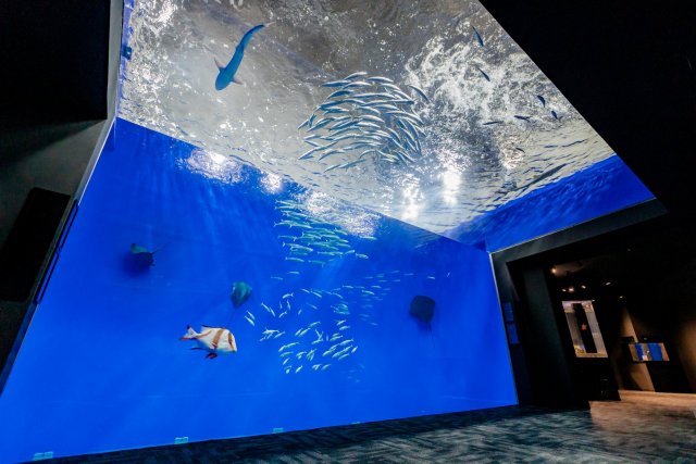 SATOUMI Kochi Prefectural Ashizuri Aquarium