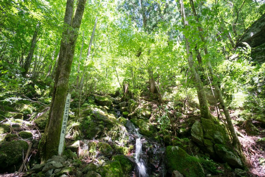 四万十川源流点 スポット 体験 四国のおすすめ観光 旅行情報 公式 ツーリズム四国